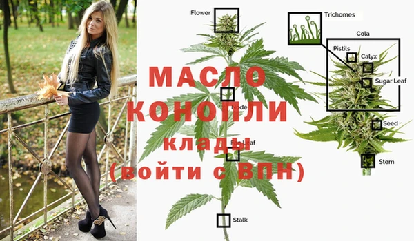ПСИЛОЦИБИНОВЫЕ ГРИБЫ Белокуриха