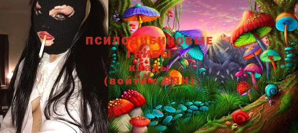 ПСИЛОЦИБИНОВЫЕ ГРИБЫ Белокуриха