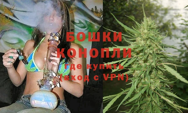 ПСИЛОЦИБИНОВЫЕ ГРИБЫ Белокуриха